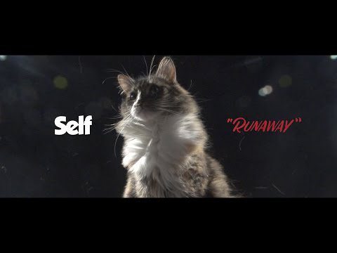 sElf – Runaway
