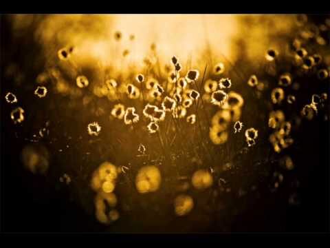 A Fine Frenzy – Untitled (Grasses Grow)