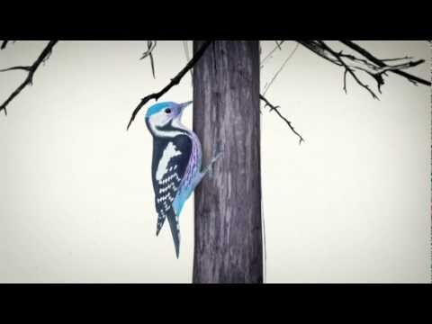 Hermanos Inglesos feat. MeMe – Wanderland