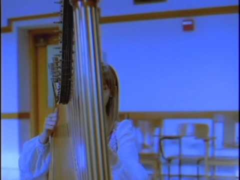 Joanna Newsom – Sprout and the Bean