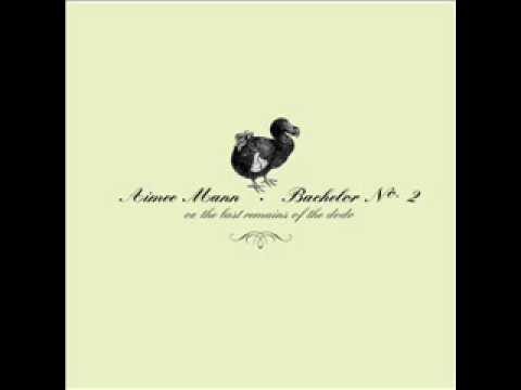 Aimee Mann – Driving Sideways