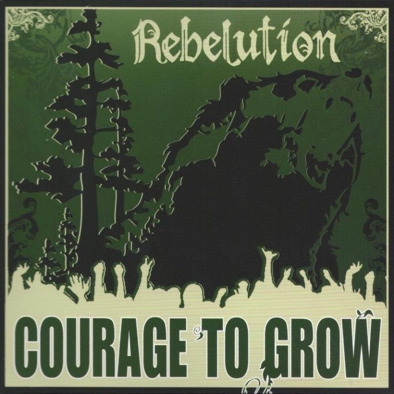 Rebelution – Courage To Grow Lyrics