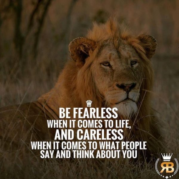 Said the Lion – Careless and Wild